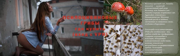 ГАЛЛЮЦИНОГЕННЫЕ ГРИБЫ Верхнеуральск
