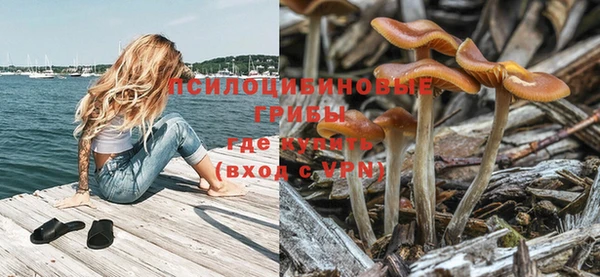ГАЛЛЮЦИНОГЕННЫЕ ГРИБЫ Верхнеуральск