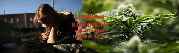 ГАЛЛЮЦИНОГЕННЫЕ ГРИБЫ Верхнеуральск