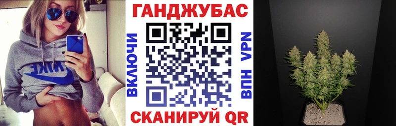 Бошки Шишки гибрид  наркота  Гдов 